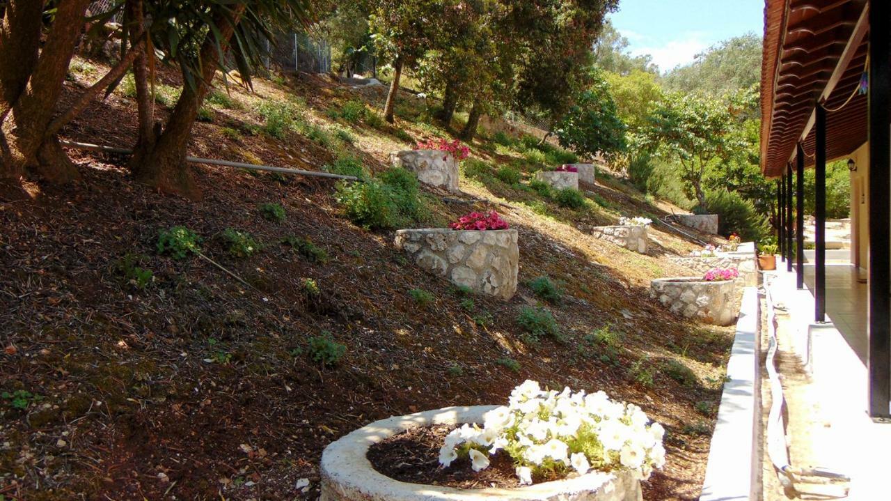 ליאפאדס Villa Eleni - Studios מראה חיצוני תמונה